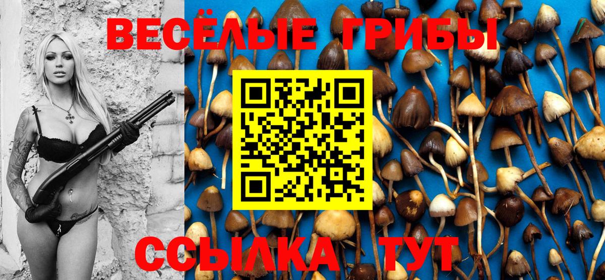 Губкинский  Псилоцибиновые грибы ЛСД  Вход с VPN 